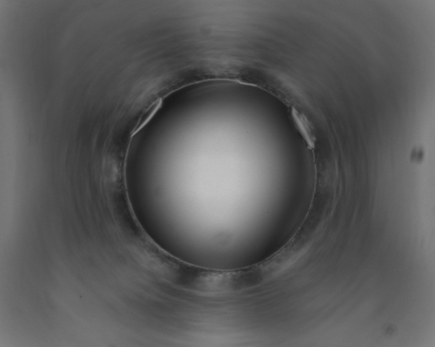 X0000090880084200708241949