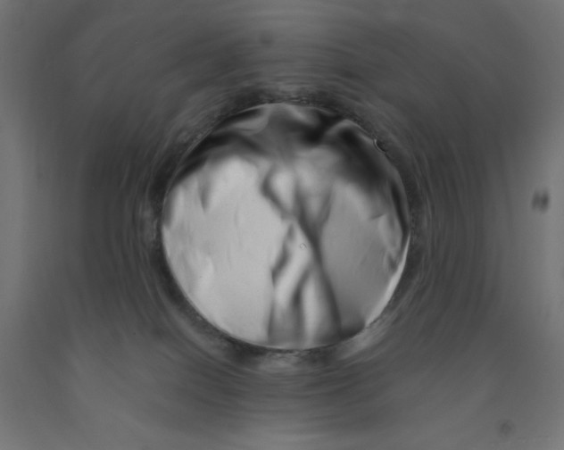 X0000090880086200708241949