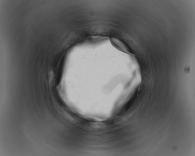 X0000090880087200708241949