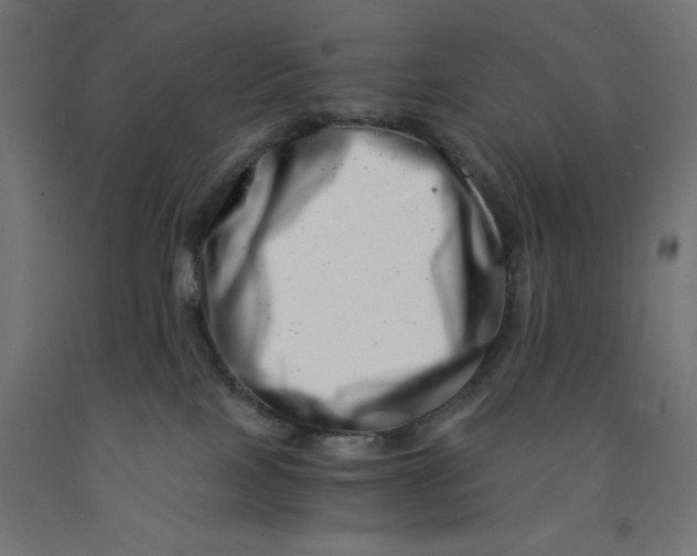 X0000090880089200708241949