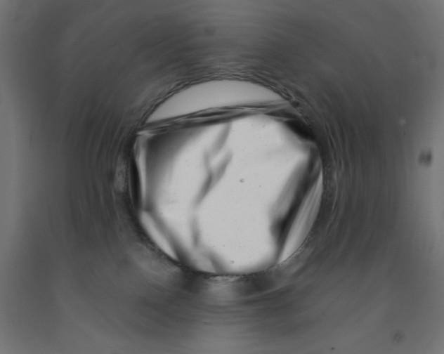 X0000090880090200708241949