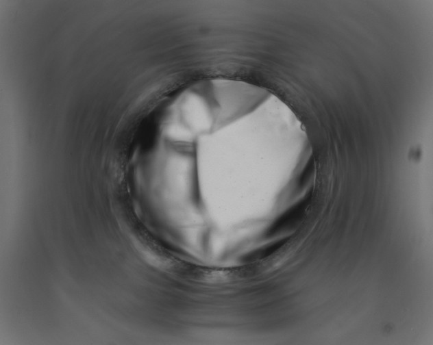 X0000090880091200708241949