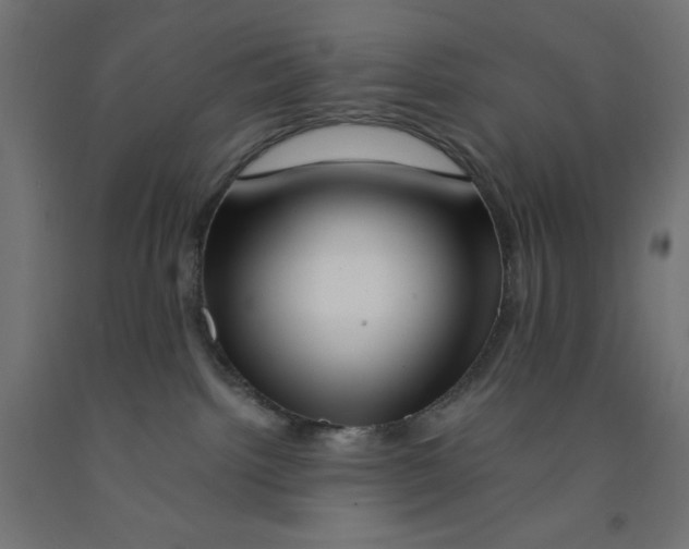 X0000090880092200708241949