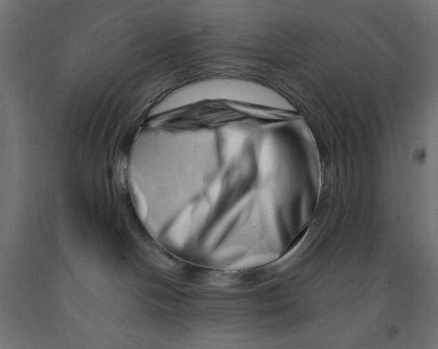 X0000090880094200708241949