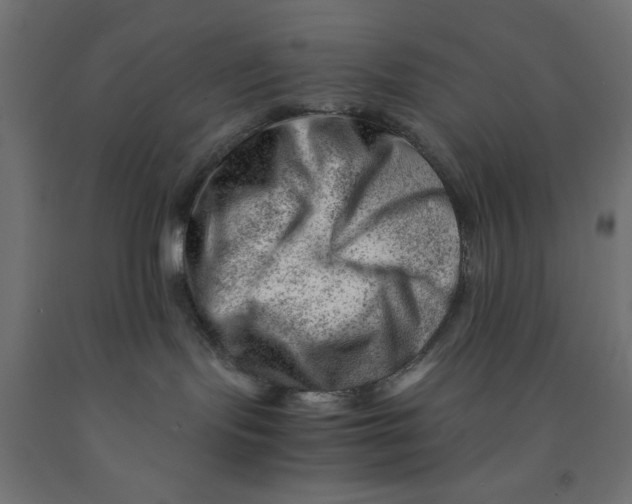 X0000090880095200708241949