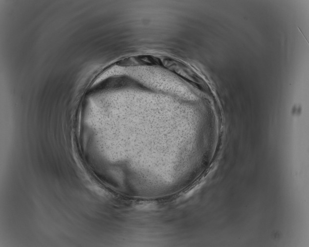 X0000090880097200708241949