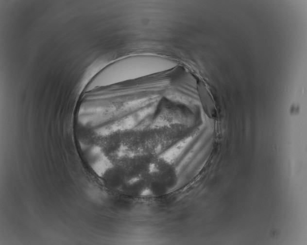 X0000090880099200708241949