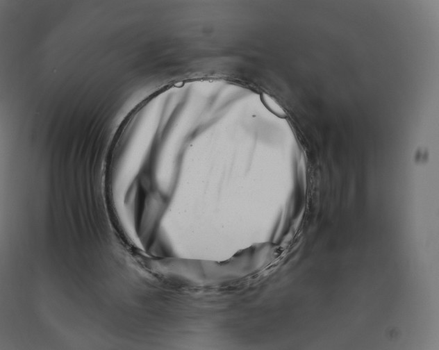 X0000090880100200708241949