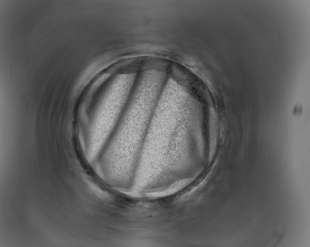 X0000090880101200708241948