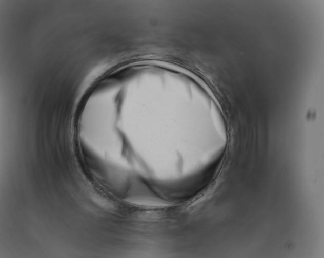 X0000090880102200708241948