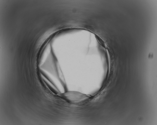 X0000090880103200708241948