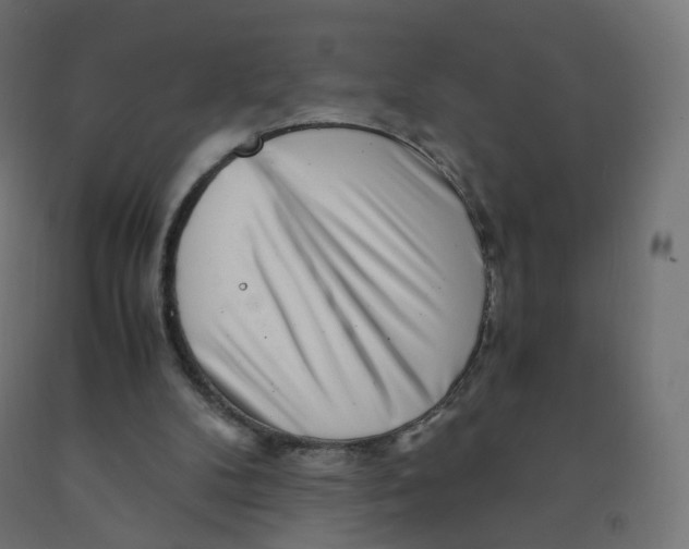 X0000090880104200708241948