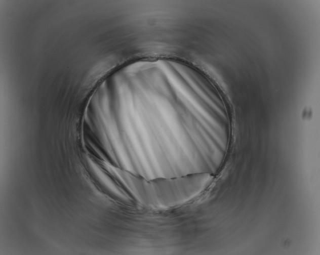 X0000090880105200708241948