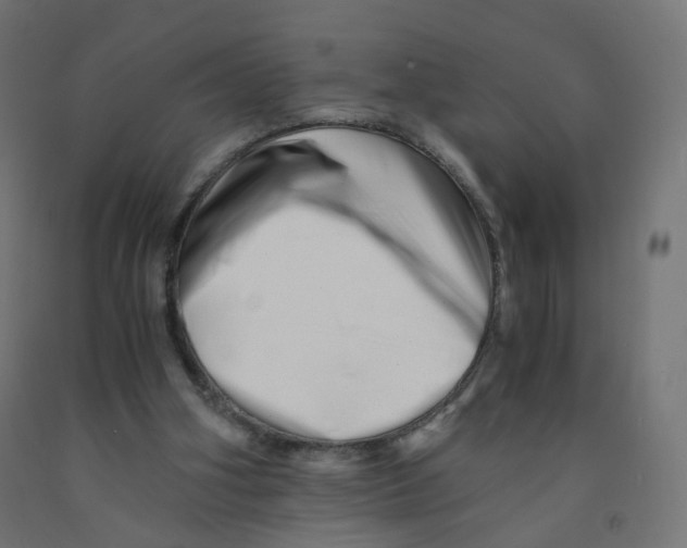 X0000090880106200708241948