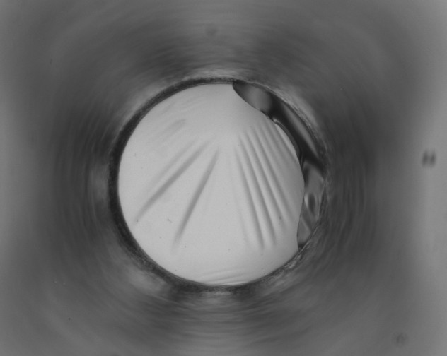 X0000090880108200708241948