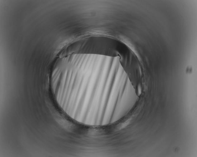 X0000090880109200708241948