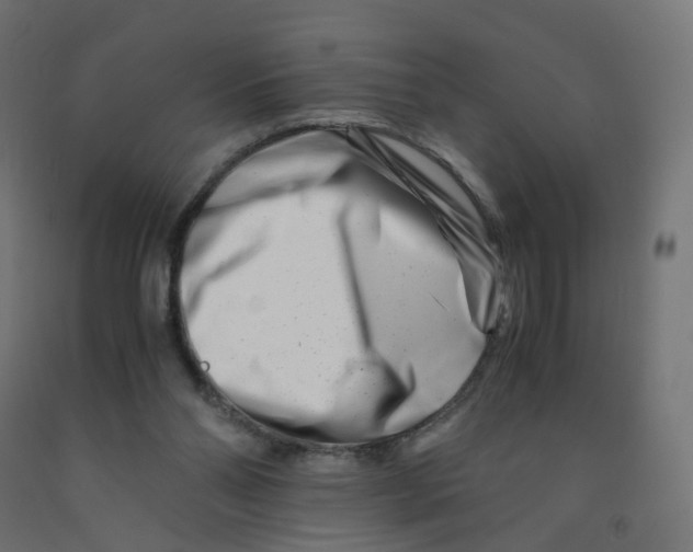 X0000090880110200708241948