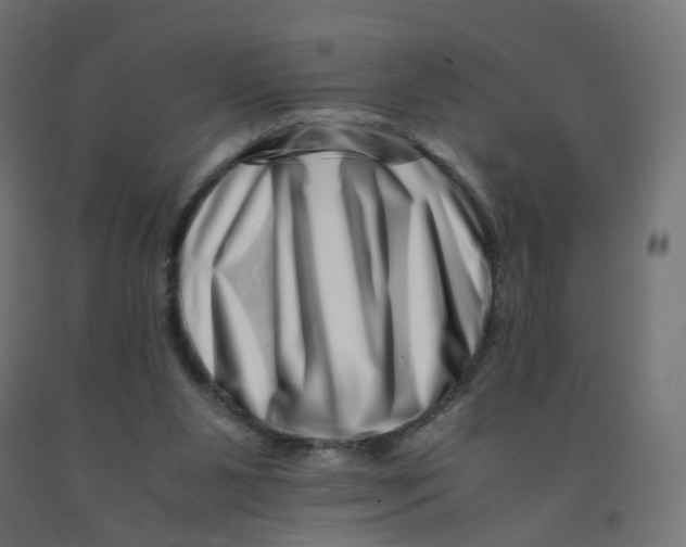 X0000090880111200708241948