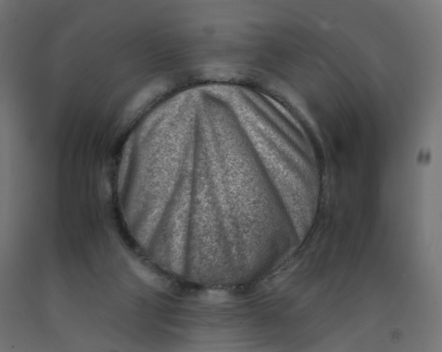 X0000090880114200708241948