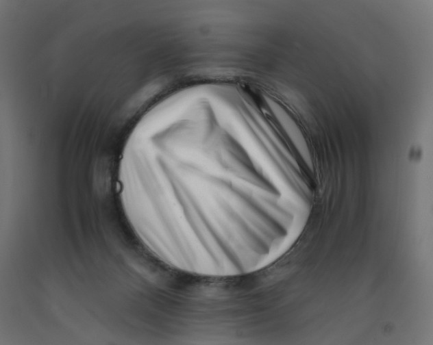 X0000090880120200708241948