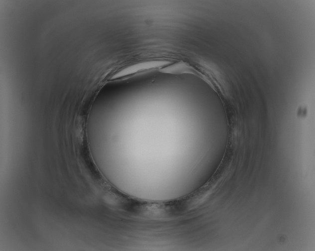 X0000090880121200708241948