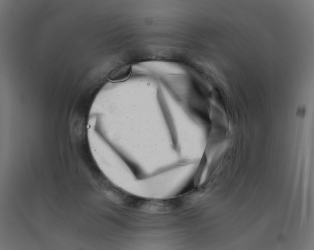 X0000090880123200708241948