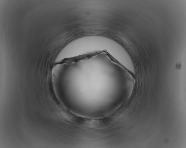 X0000090880125200708241948