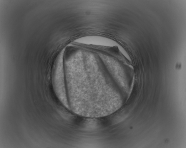 X0000090880127200708241948