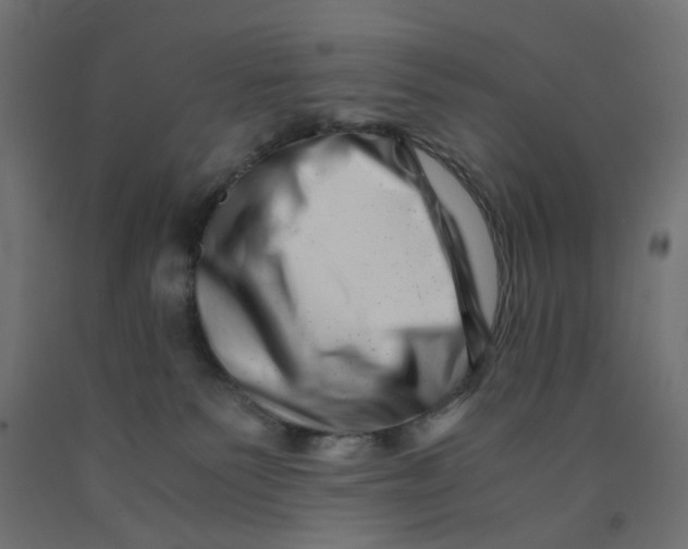 X0000090880135200708241948