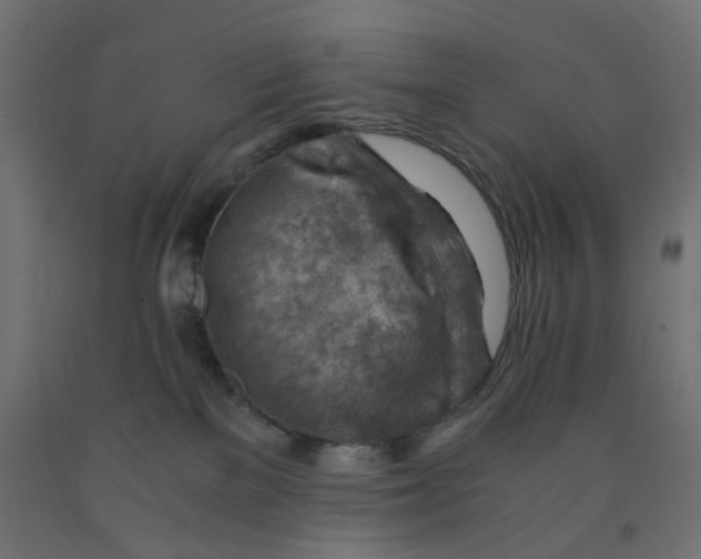 X0000090880137200708241948