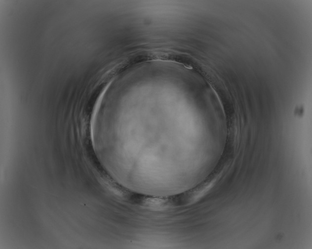 X0000090880139200708241948