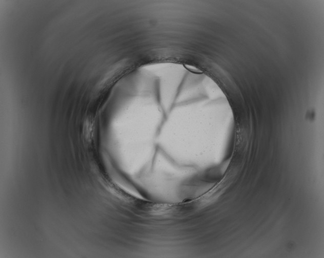 X0000090880142200708241948