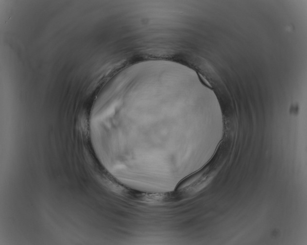 X0000090880143200708241948