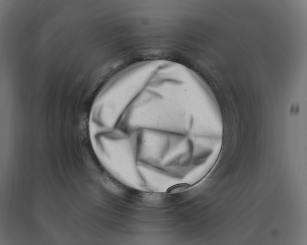 X0000090880144200708241948