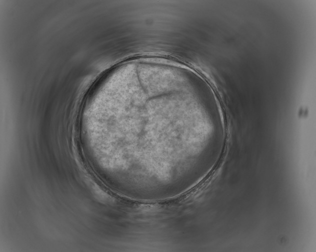 X0000090880145200708241947