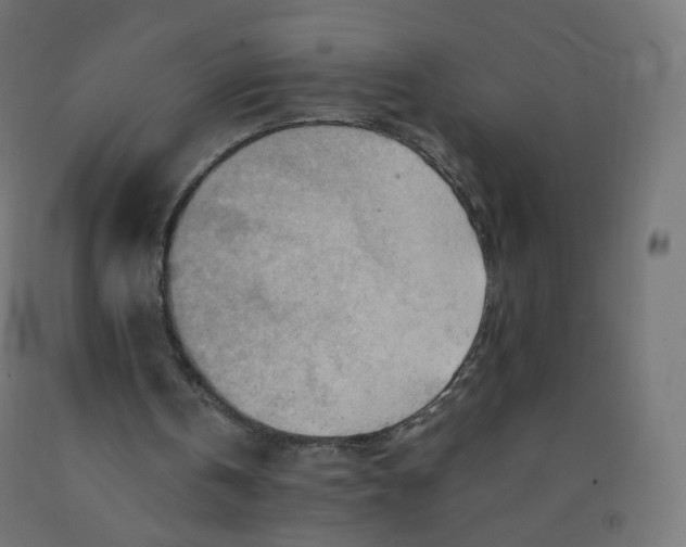 X0000090880146200708241947