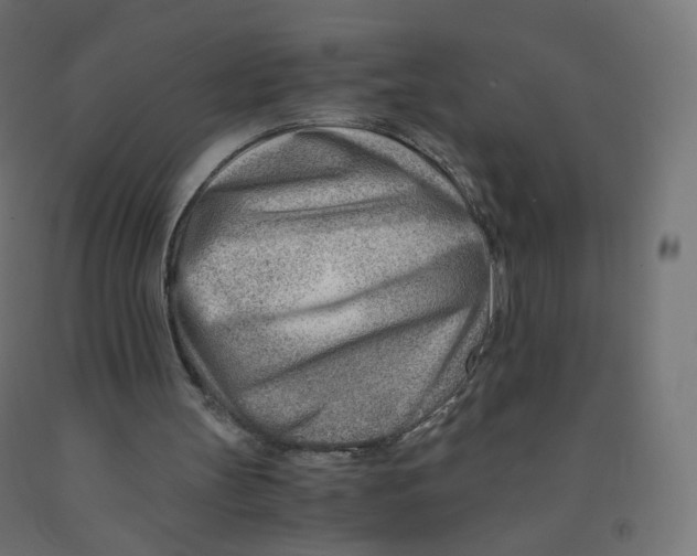 X0000090880147200708241947