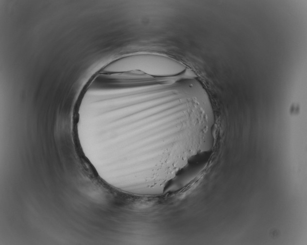 X0000090880148200708241947