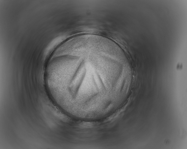 X0000090880149200708241947