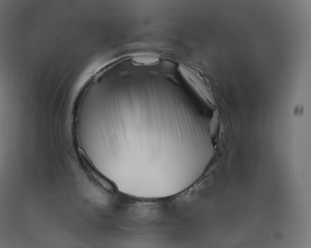 X0000090880150200708241947