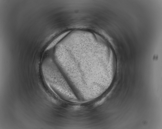 X0000090880153200708241947