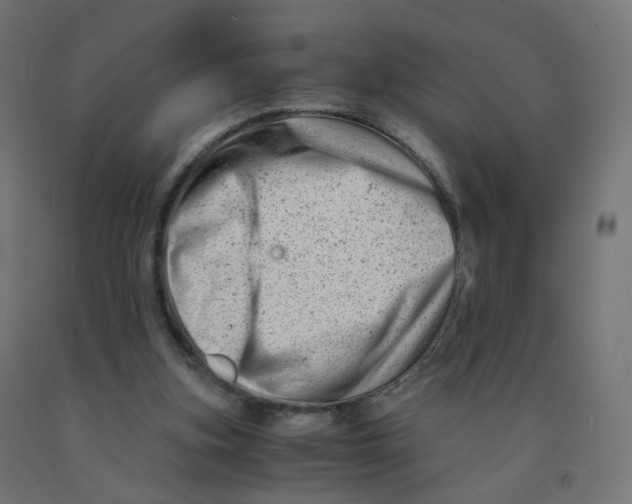 X0000090880155200708241947