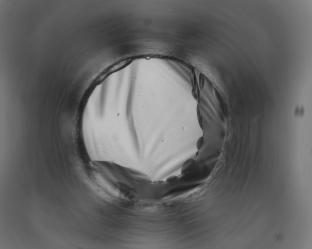 X0000090880156200708241947