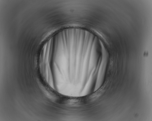 X0000090880158200708241947