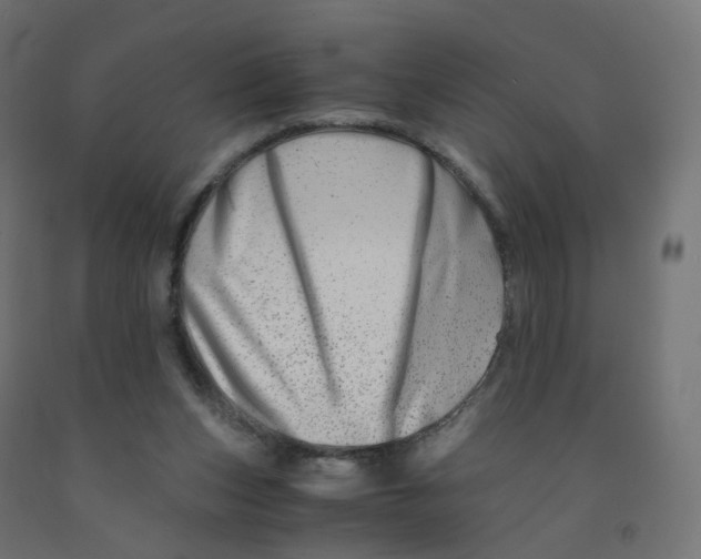 X0000090880159200708241947