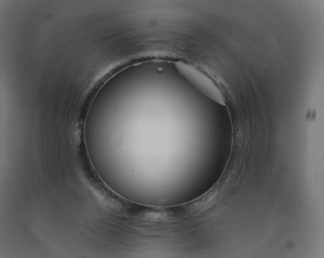 X0000090880160200708241948