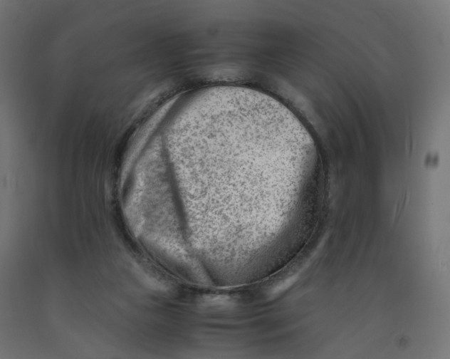 X0000090880161200708241948