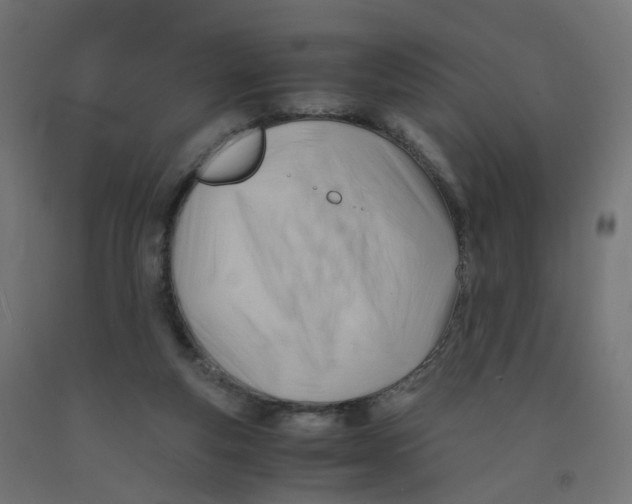 X0000090880163200708241948