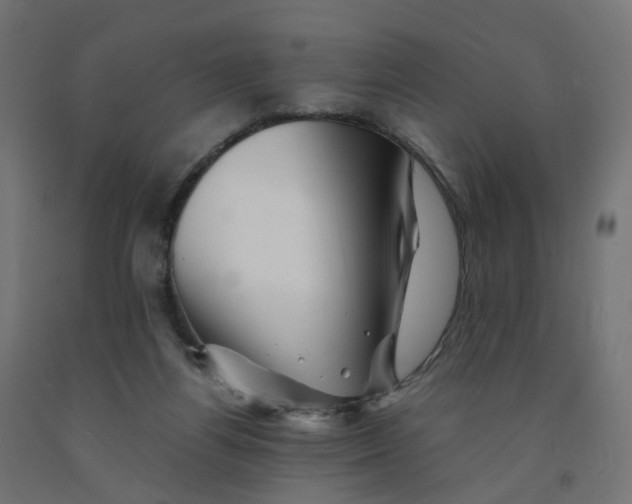 X0000090880164200708241948