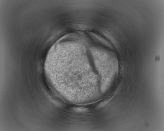 X0000090880165200708241948